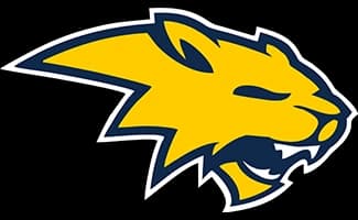 Neuqua Valley High School logo
